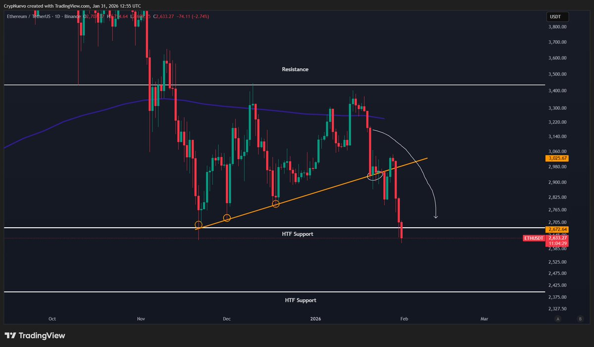 CrypNuevo 🔨 tweet media