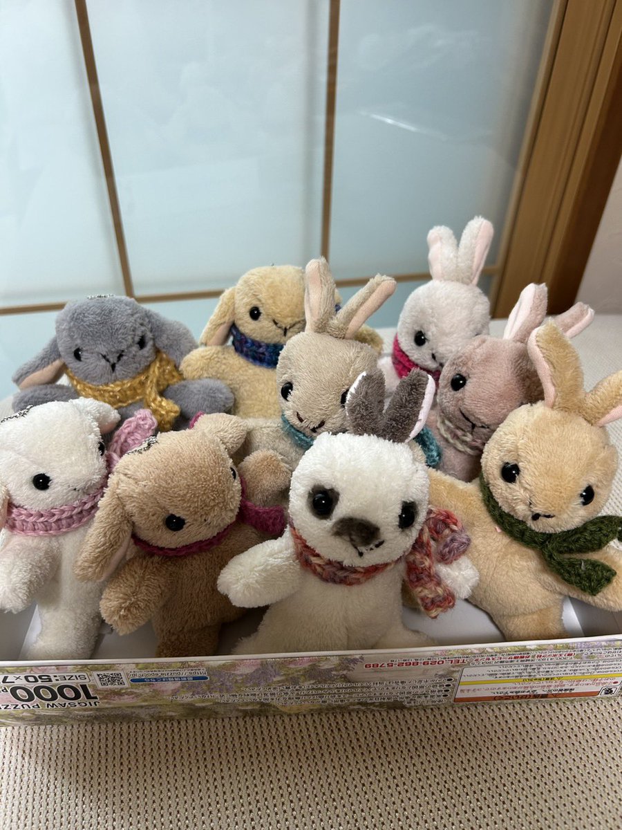 ついにあと1週間となりました！Sylphidは日曜日のみの出店となります！今回は母が補助に入ってくれるので、Kinapuu商品もありますよ！いつも人気のぬいぐるみキーホルダーもたくさん作ったようです✨
楽しみ～！自分の進捗？聞かないでください
#手作り雑貨と保護うさぎ
#レジンアクセサリー