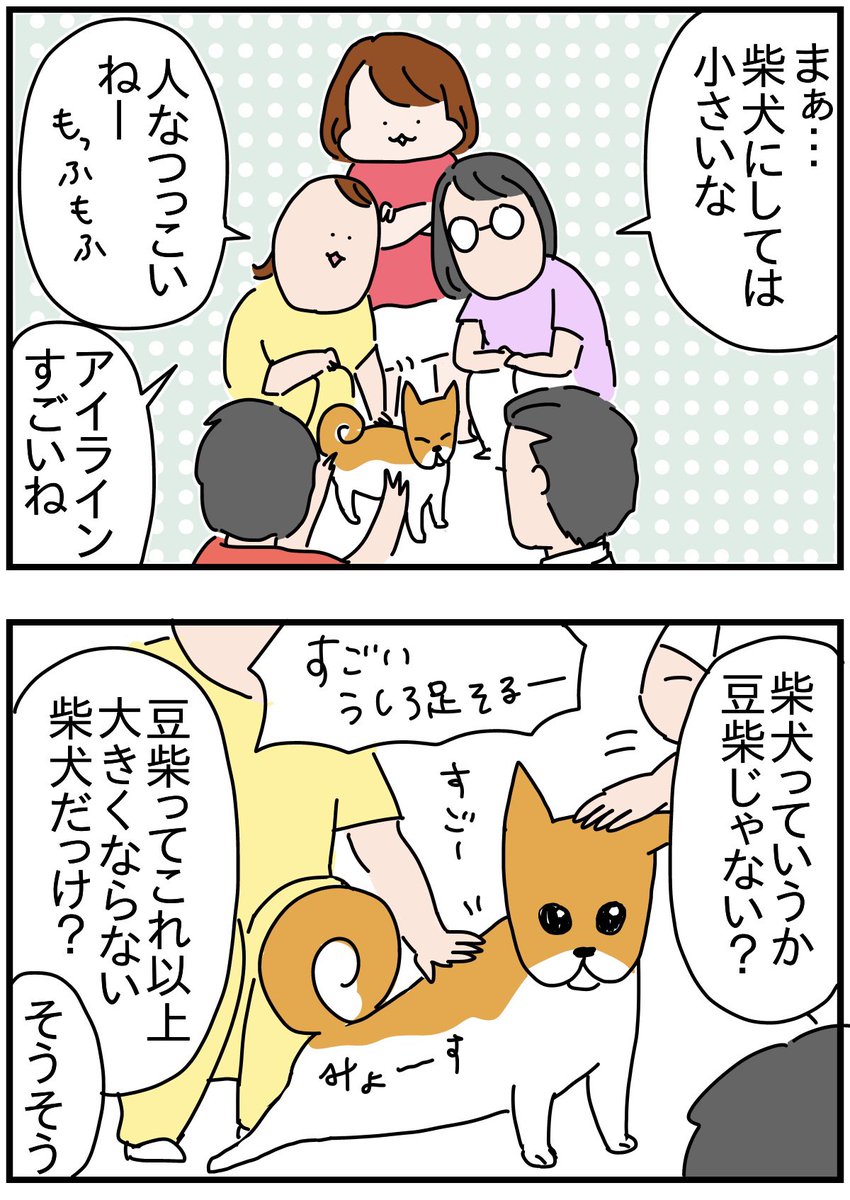 (2/3) 