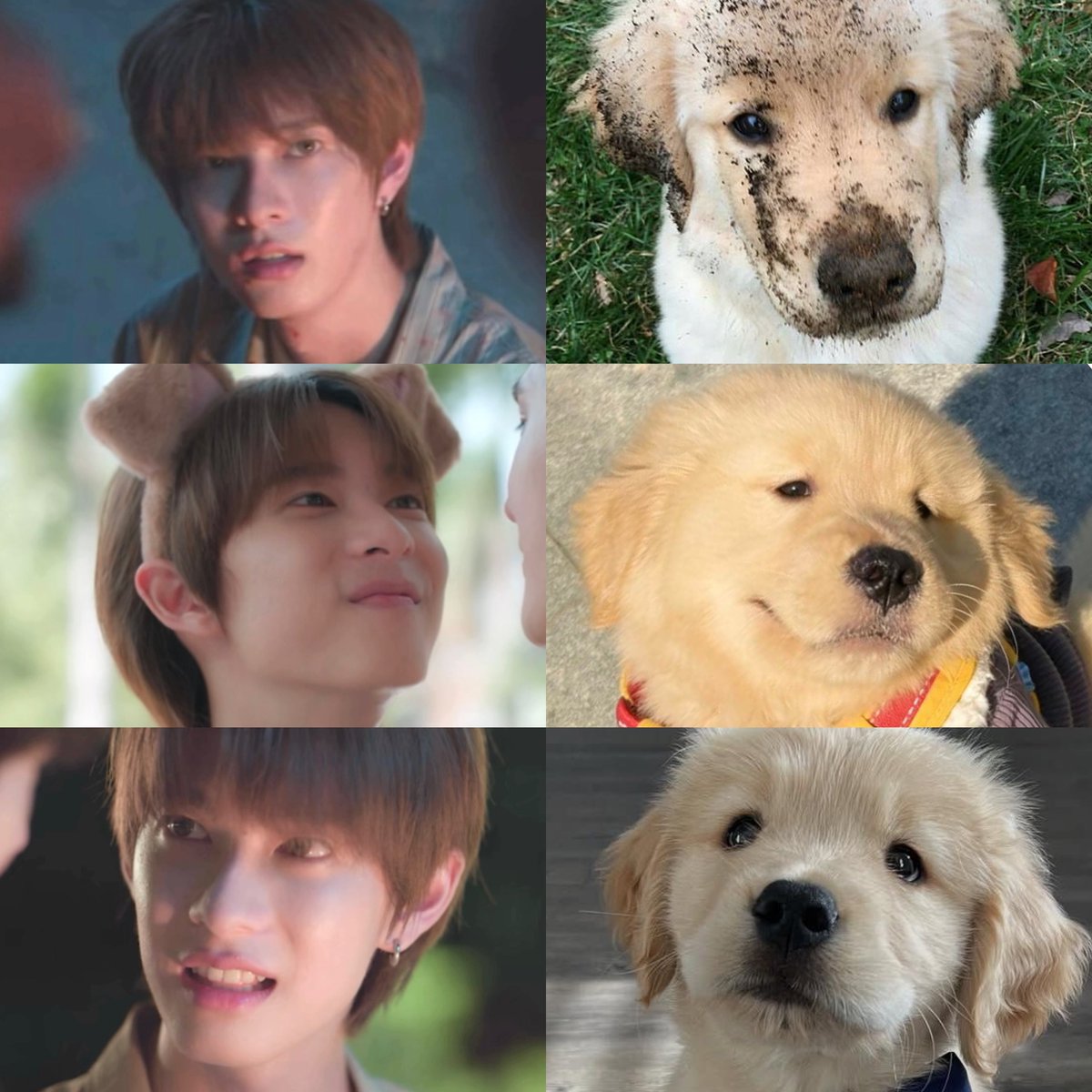 อีพีสุดท้ายจากตู้ปม๋ามอมข้างทางที่พี่สิงเก็บมาเลี้ยงได้กลายเป็นยูกหมากลม ๆ ฟู ๆ แฮปปี้แล้ว เป็นเด็กมีครอบครัวเป็นของตัวเอง มีคนที่รัก มีคนที่คอยฮปบดไปอีกในทุก ๆ ปี ขอให้ไม่ดื้อไม่ซน เป็นกู้ดบอยของพี่สิงน้า 🫳🏽🐶

SINGSA LATAI FINAL EP
#สิงสาลาตายFINALEP
#ppoohkt ( <a href="/ppoohkt/">Pooh</a> )