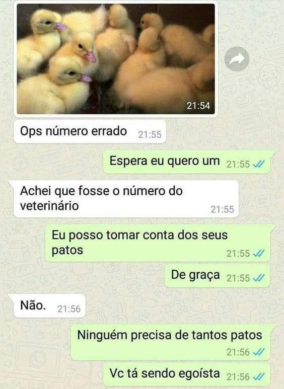 Me dê um patinho