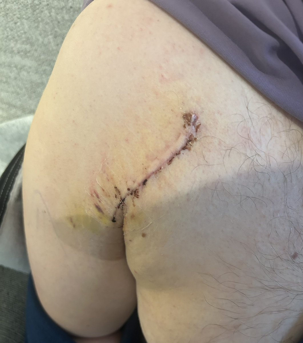 Daf hatley tweet media