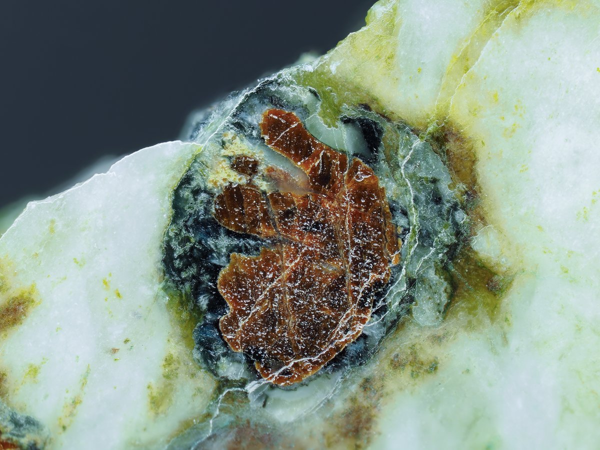 アマテラス石（研磨標本） 岡山県新見市大佐山 標本幅 25mm 日本からで