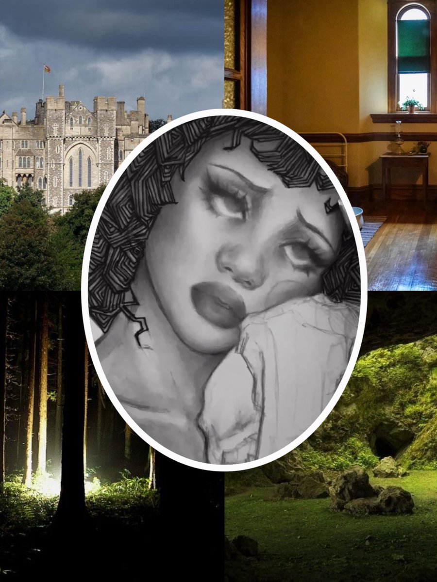 Steph is writing 📝🐛 tweet media