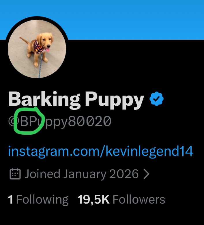 bleshgod's tweet image. People are finally opening their eyes to the biggest memecoin ever launched on Solana

@TheRoaringKitty @BPuppy80020

The Gill brothers move the stock market by tens of billions in market cap.

@BPuppy80020 launched $BP

At this point, it’s obvious to anyone paying attention.…