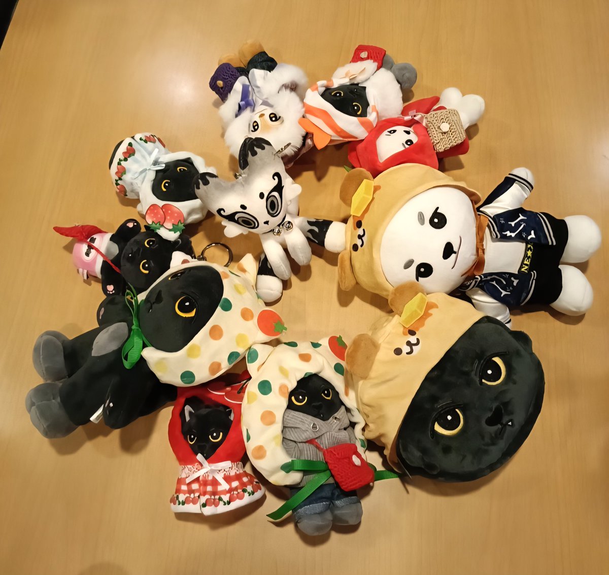 yukiNZ（ゆうちゃんズ）🐈‍⬛🥞 (@yuki_oshikatu) / Posts / X