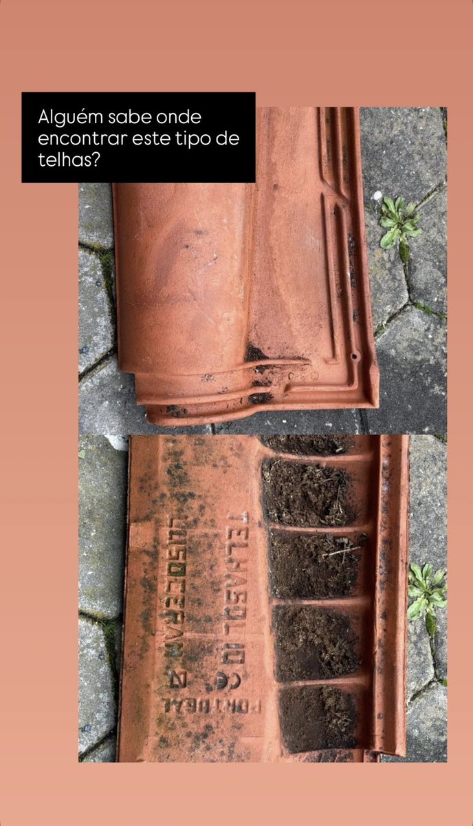 BritesAlexandra's tweet image. Se alguém souber onde se arranja este tipo de telha (TELHA SOL10) digam-me pfv. Não encontramos em lado nenhum e precisamos de 150 telhas. Partilhem também, também ajuda 🙏🏻 obrigada!