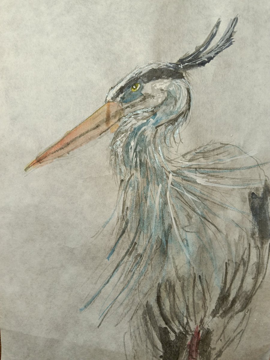 アオサギ #水彩画 #顔彩 #日本画 #アオサギ