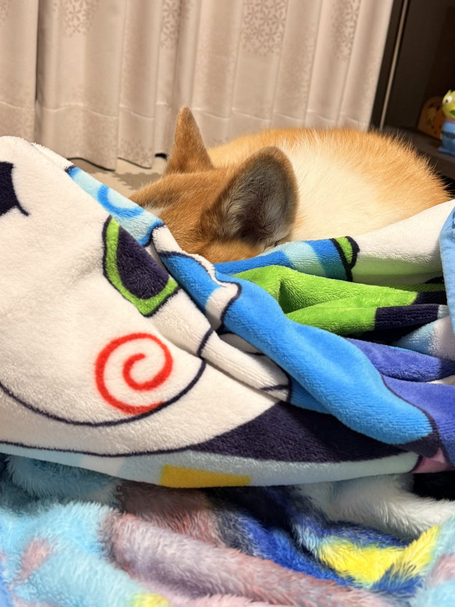 顔が見えてなくてもかわいいね☺️