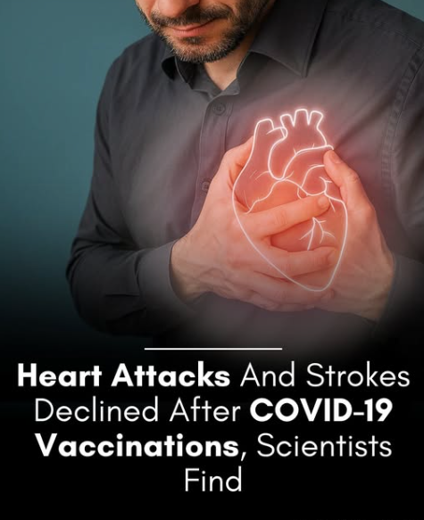 Rainmaker1973's tweet image. Study shows COVID vaccines decreased heart attacks and strokes.

A sweeping analysis of nearly 46 million adult health records has delivered a clear verdict: COVID-19 vaccination sharply lowers the risk of heart attacks and strokes, directly refuting persistent claims to the…