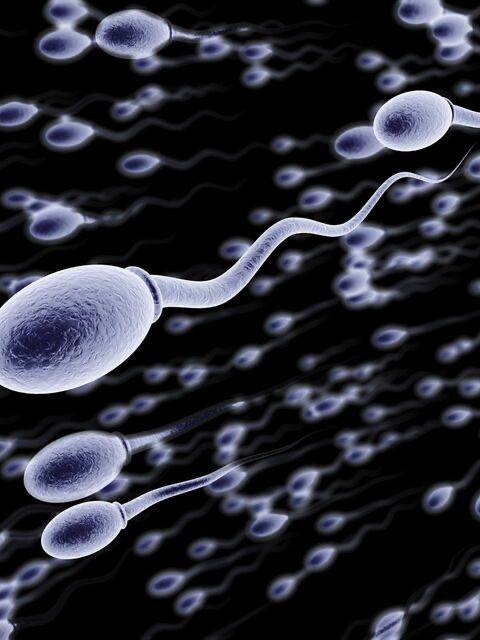 Ace_of_masculinity💋 tweet media