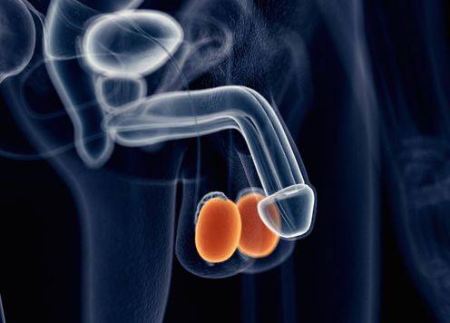 Ace_of_masculinity💋 tweet media