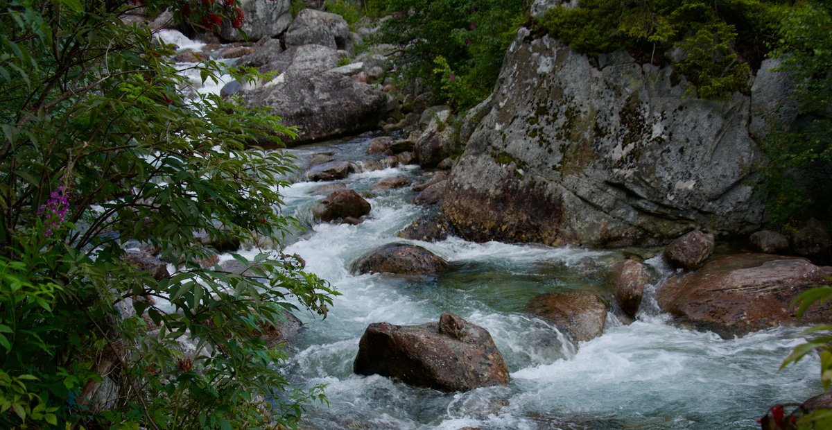 Real value doesn’t come from hype.
It comes from systems that work — quietly, every day.

Most people miss it.
Until it’s everywhere.

#Web3 #Crypto #Value