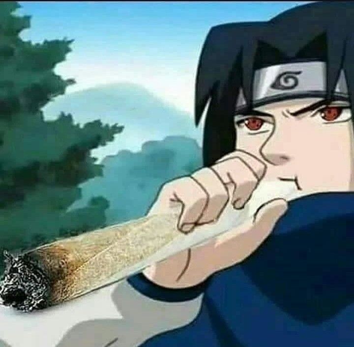 memesconha's tweet image. 