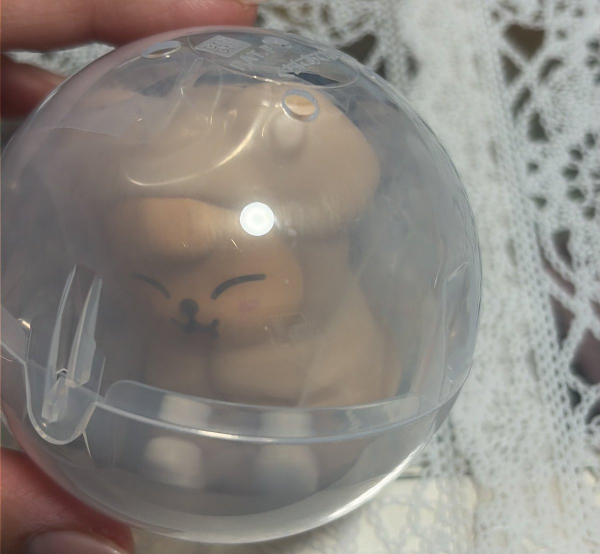 ぴえんぴり⚡︎ tweet media