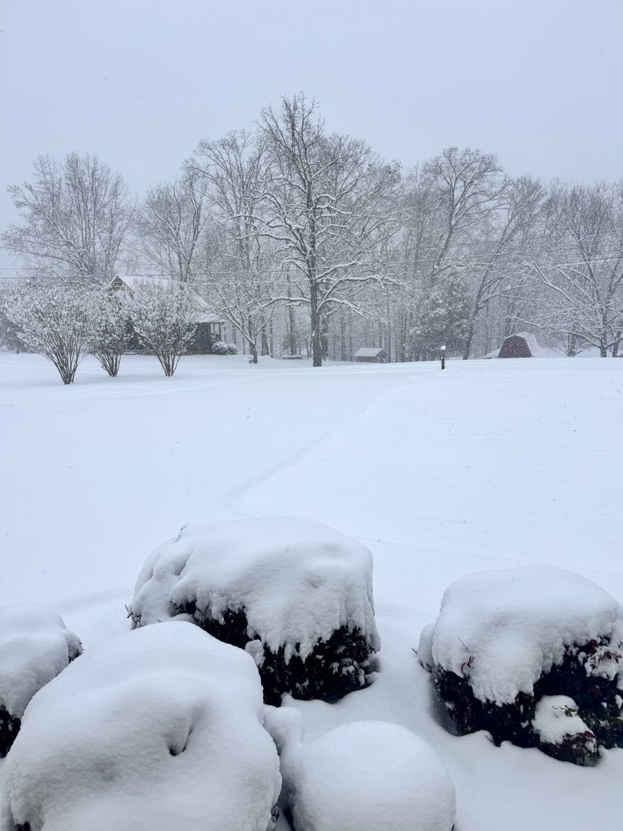 tonybryant33's tweet photo. @mattcondonwx @wateweather @lucky13wxman @NWS @TearsaSmith we have about 6 inches of snow in Cocke County with currently heavy snow falling. https://t.co/MPBoFj165S
