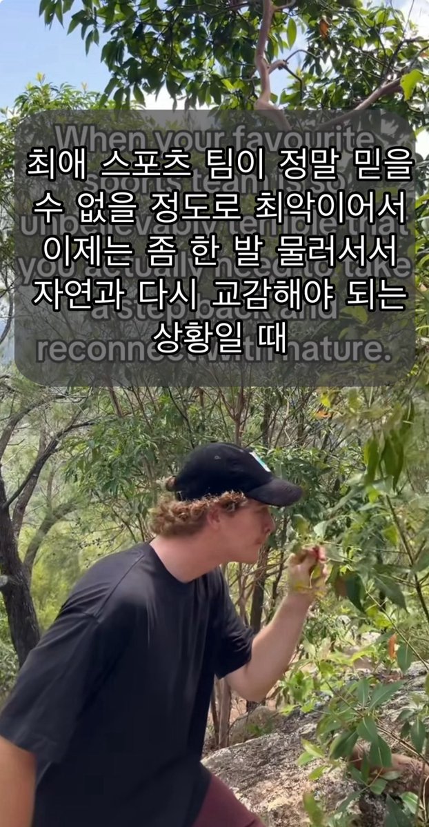 기아타이거즈 안티 명언봇 (@all_candy13) on Twitter photo 