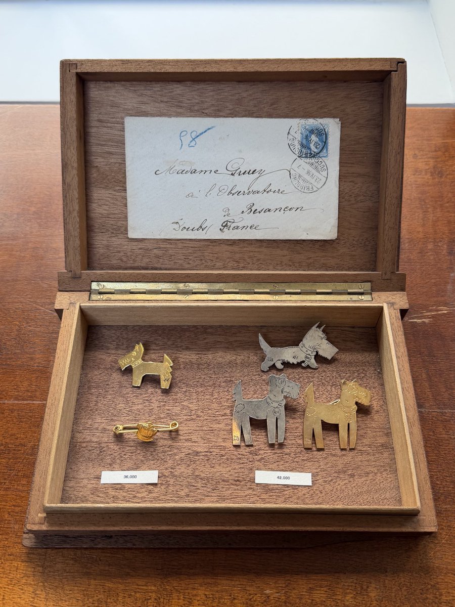 서촌은 왜 가도 가도 질리지 않을까………. ࣪˓ .𖤣𖥧˚.