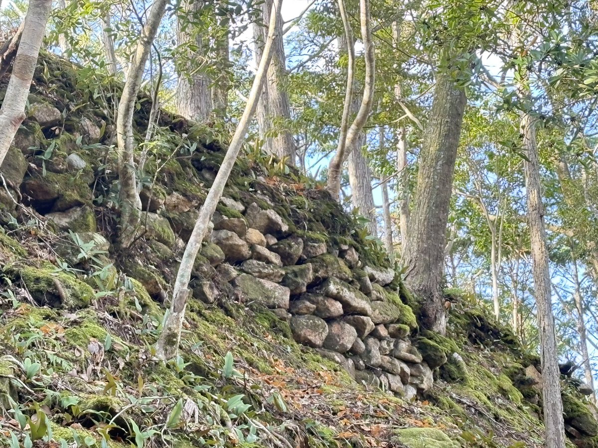 sirowako's tweet photo. _京城跡　三重県
年末三重・和歌山シリーズ
めっっっちゃ最高なのでぜひ行ってほしいお城です(°▽°)
石垣、畝状竪堀、堀切！
山城の魅力が詰まってます！！ https://t.co/UaoPesCJPN