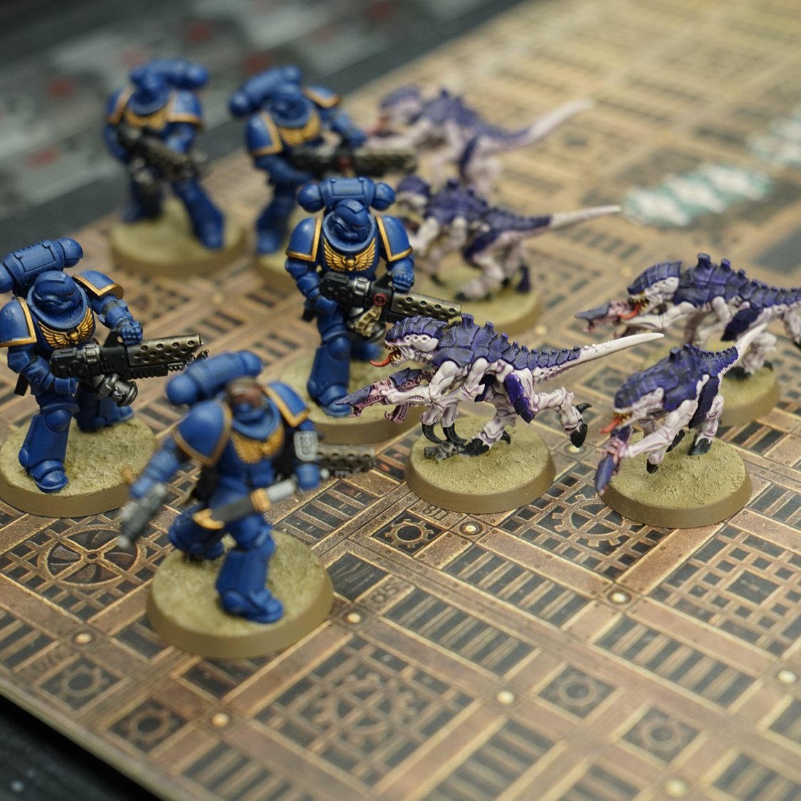 County Square Shopping Centre tweet media