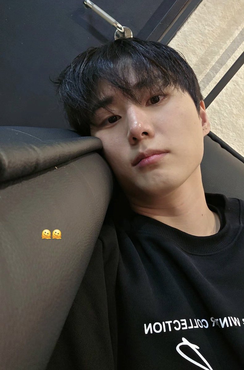 그냥오늘세계고양이의날로합시다