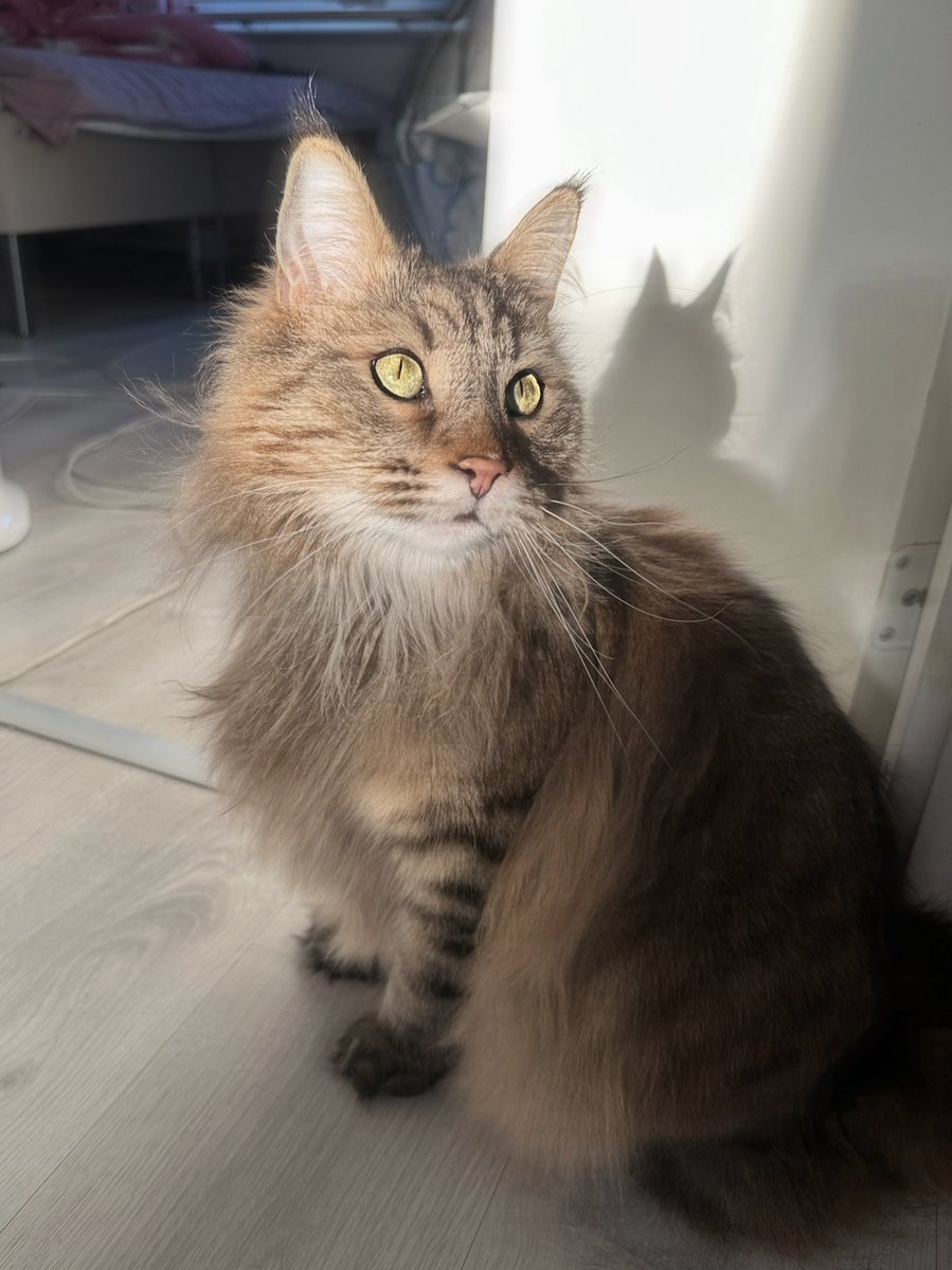 sadealiciaa's tweet image. baby :3