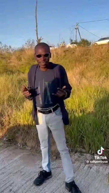 Alex tweet media