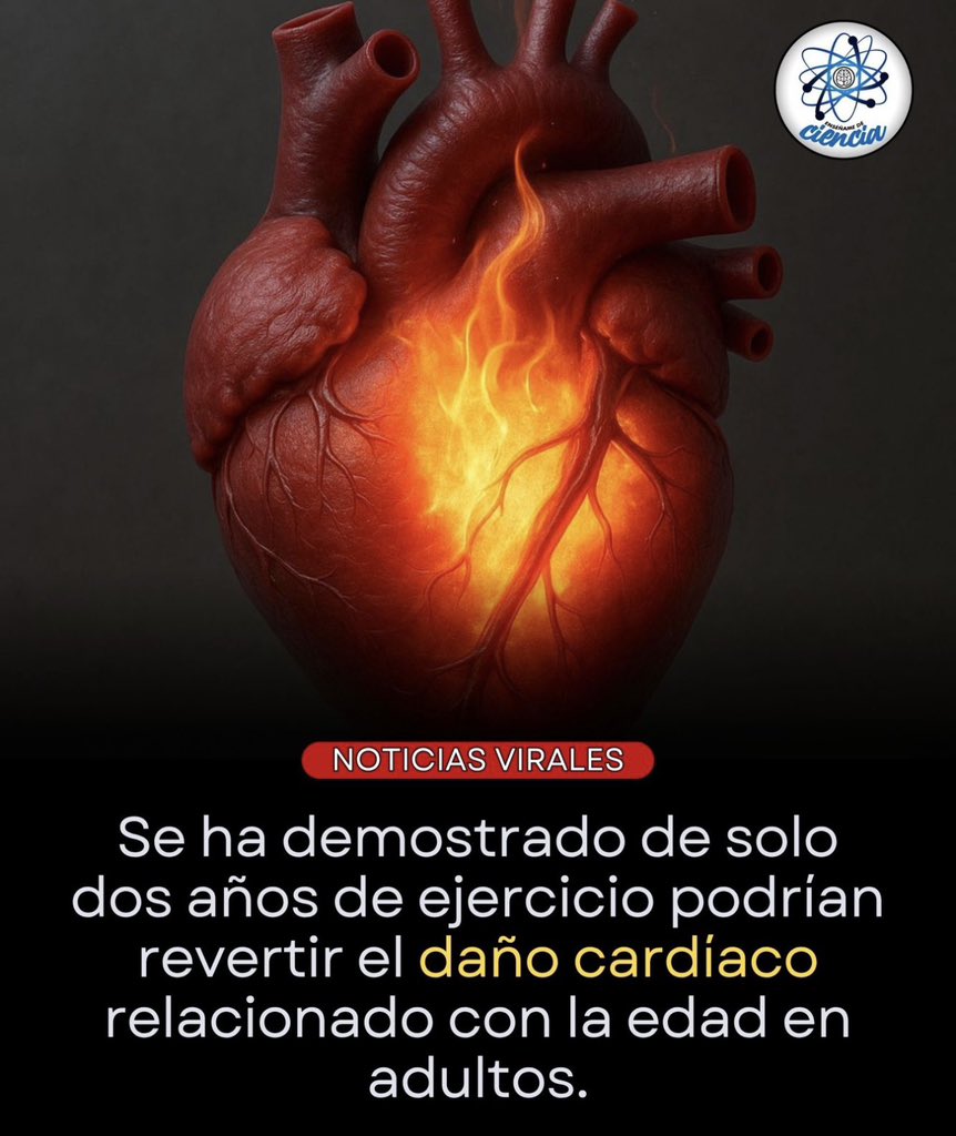 Tu corazón no envejece solo por cumplir años… envejece, sobre todo, cuando deja de moverse.

Un amplio estudio científico demostró que dos años de ejercicio aeróbico constante pueden revertir parte del deterioro cardíaco asociado al envejecimiento, especialmente la rigidez del