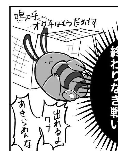 オタチチャン 