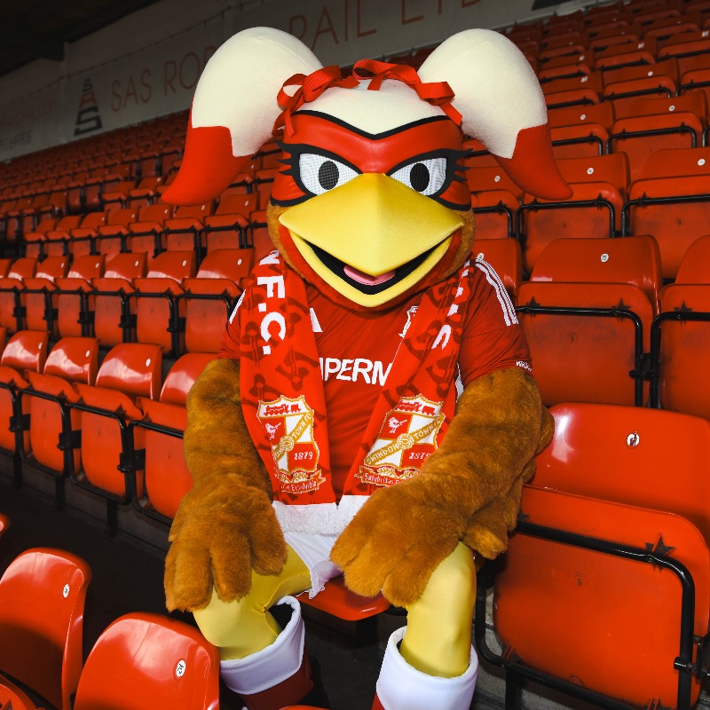 Official_STFC's tweet photo. We are delighted to announce the arrival of a brand-new mascot, Robyn, who will accompany the much-loved Rockin Robin on matchdays at the Nigel Eady County Ground ❤️