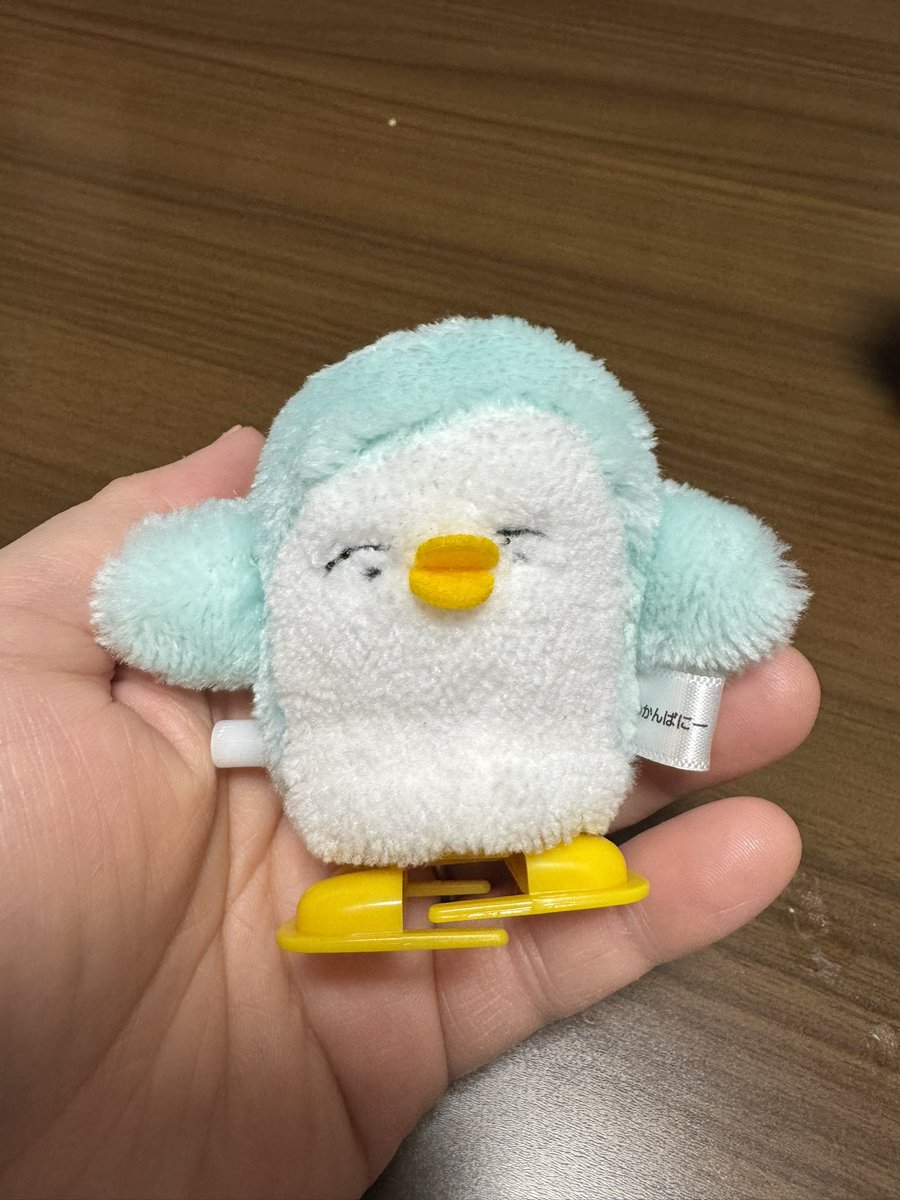 の*ん様 ☘️極上☘️限定1株☘️未株分け☘️タグ付き☘️3365⭐️パステ⭐️ わかんぱにー☺︎ (@wkn8) / Posts / X