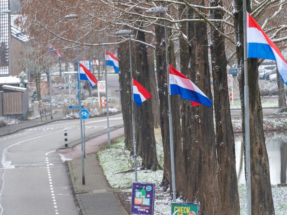In Nieuw-Lekkerland zijn woensdag zo’n 150 Nederlandse vlaggen opgehangen. Op de vlaggen staan teksten als ‘Anti AZC’ of ‘AZC weg ermee’. Een actiegroep protesteert daarmee tegen de plannen van de gemeente voor een asielzoekerscentrum.