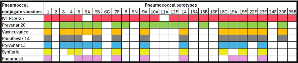 Aller_MD's tweet image. Safety and immunogenicity of a #25-#valent #pneumococcal #conjugate #vaccine in pneumococcal vaccine-naive healthy adults: Results from 2 randomised, controlled clinical trials. Open Access. ivancevichmd.blogspot.com/2026/01/safety…