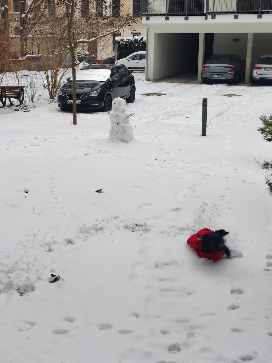 LissyLabrakel's tweet image. Super Schneetag heut. Und die Mama ist wieder zu Hause! Yippie!
