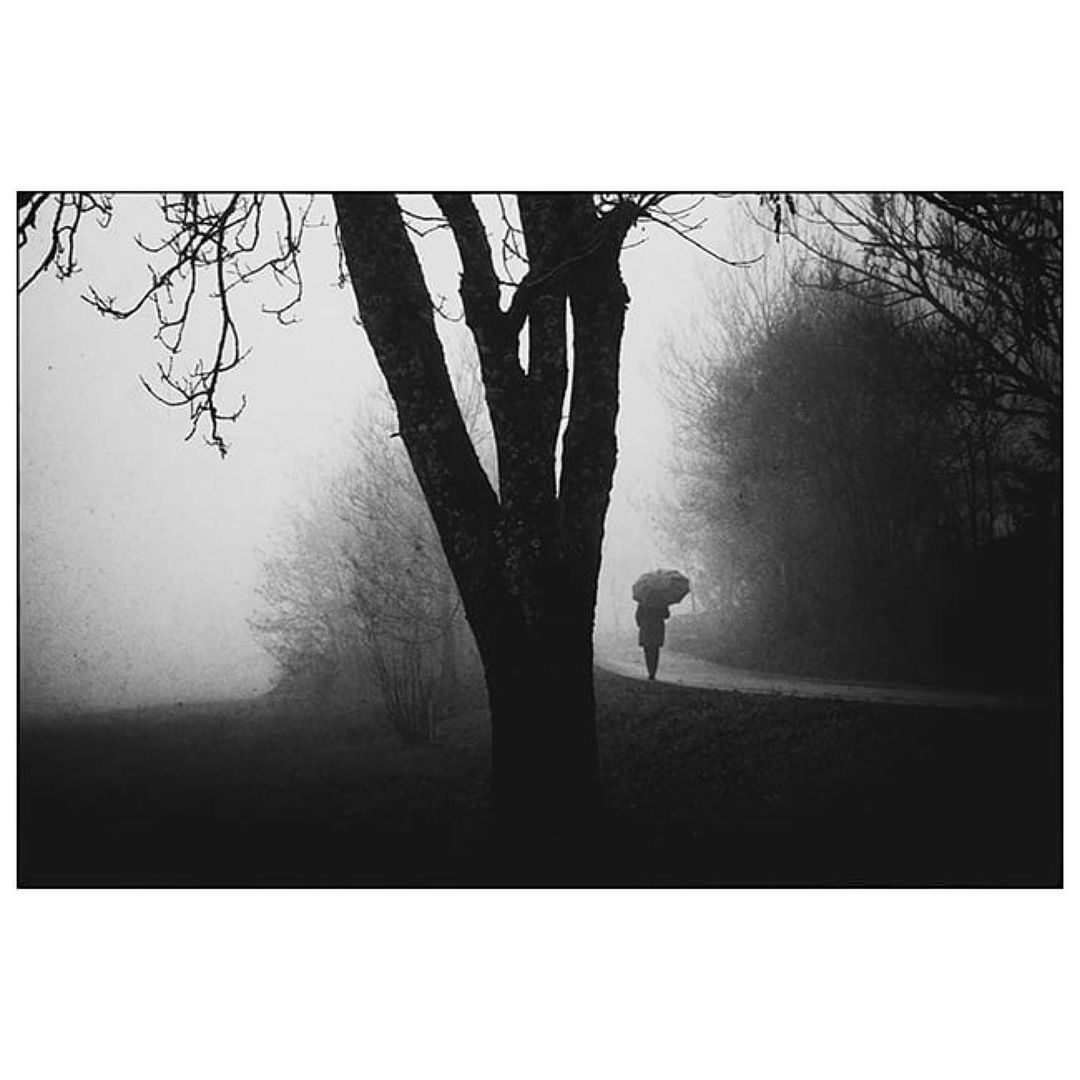 Typisch deutsch: Du musst dir eine Genehmigung einholen, um im Park ein Picknick zu machen! 🌳 Na klar, denn das Grillen könnte ja die "ordentliche" Luftqualität gefährden. Alles überreguliert, während die Nachbarn ihre Rasenmäher um 7 Uhr morgens starten. Viel