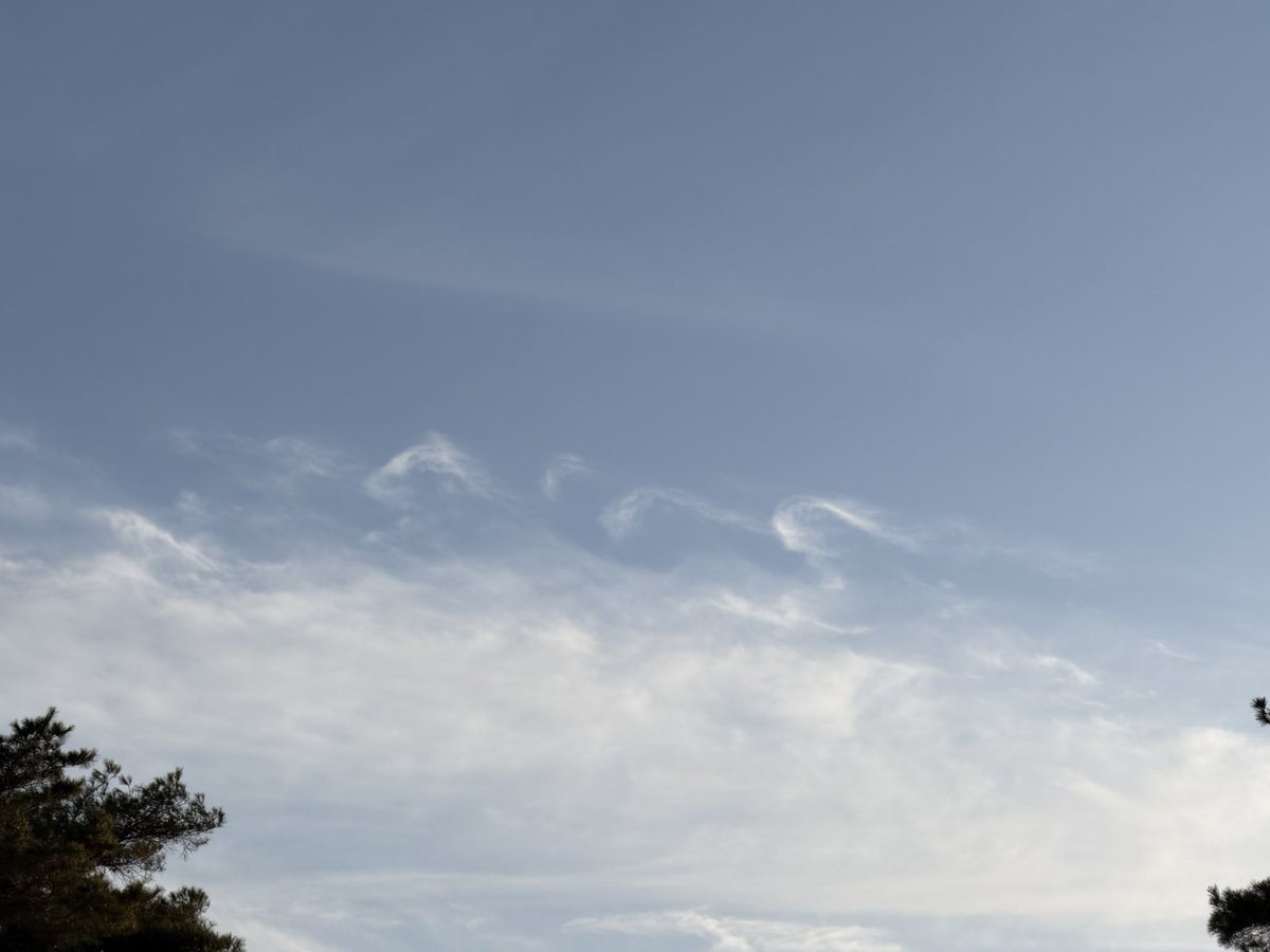 今日見た面白い雲
クルクル🌀
どんな風の流れなの？
16:15 つくば市
#雲活