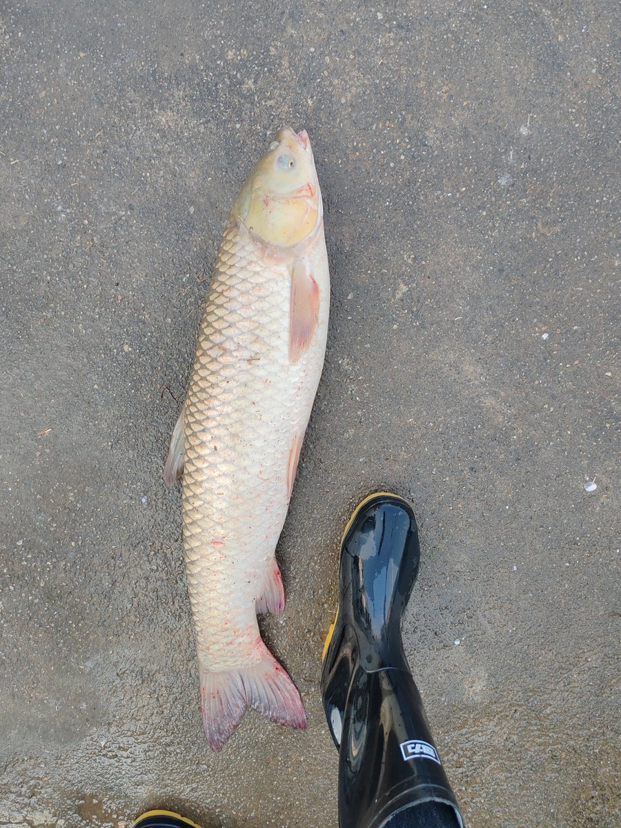 水煮还是红烧？😎