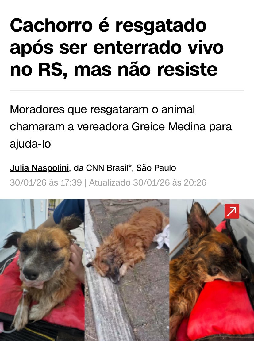 Por TODOS eles TODOS que sofrem nas mãos dos humanos 

LUTEM PELA FEDERALIZAÇÃO DO CASO ORELHA! 

Não vamos deixar esquecer, continuem subindo a #JustiçaPorOrelha