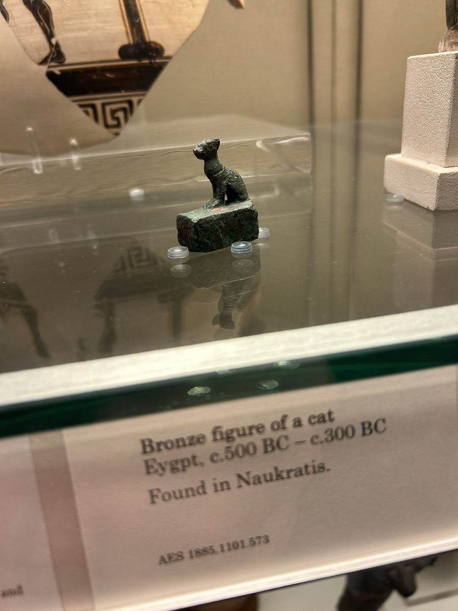 Kelvin Farmaner tweet media