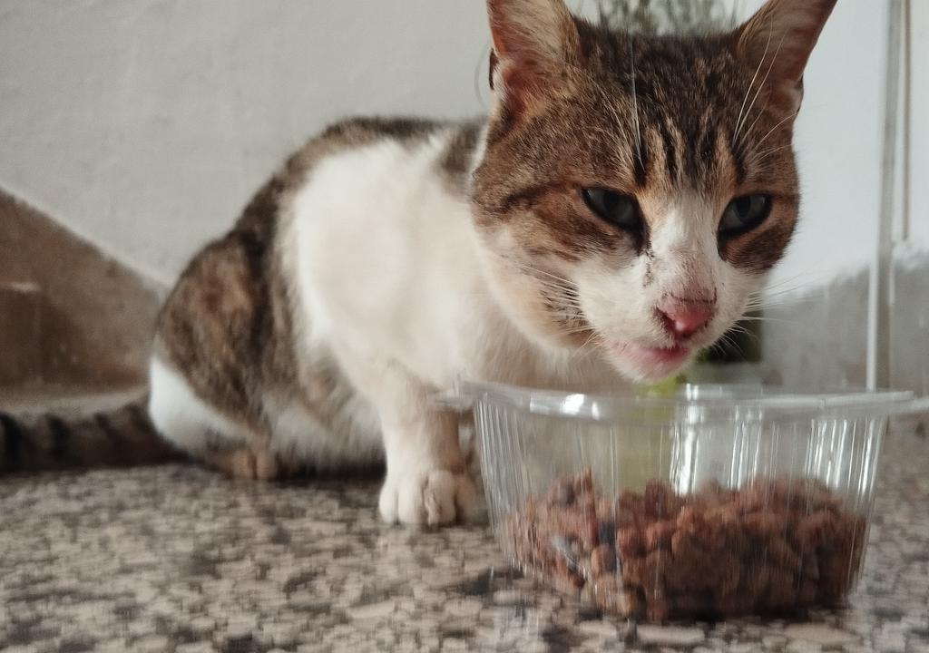 Archie (Angel Rusty 🌈🕊️) tweet media