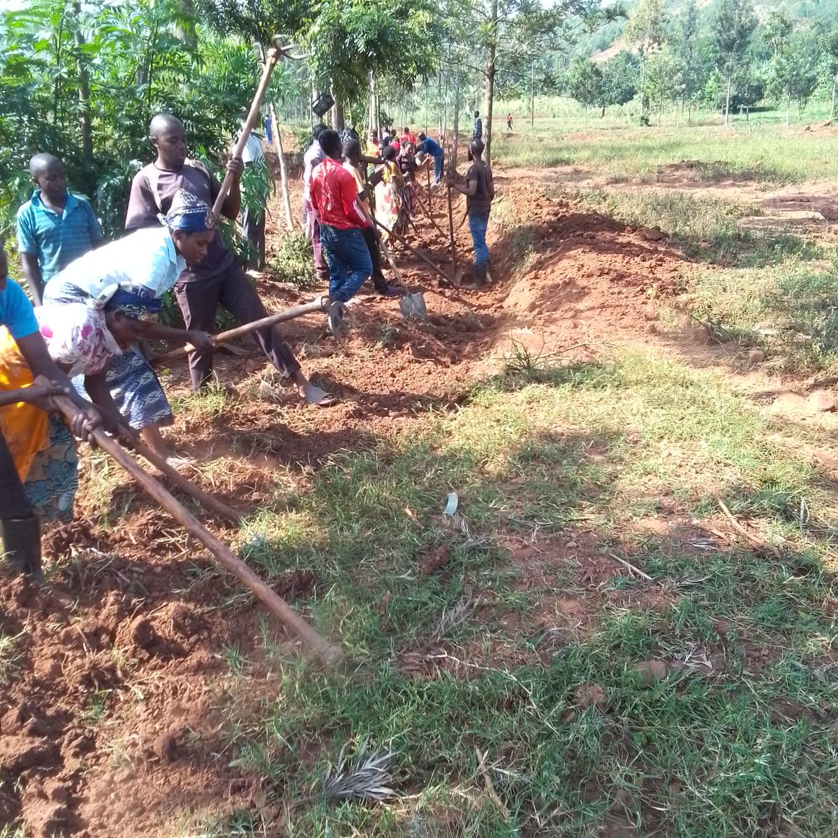Murama Sector/KAYONZA District tweet media