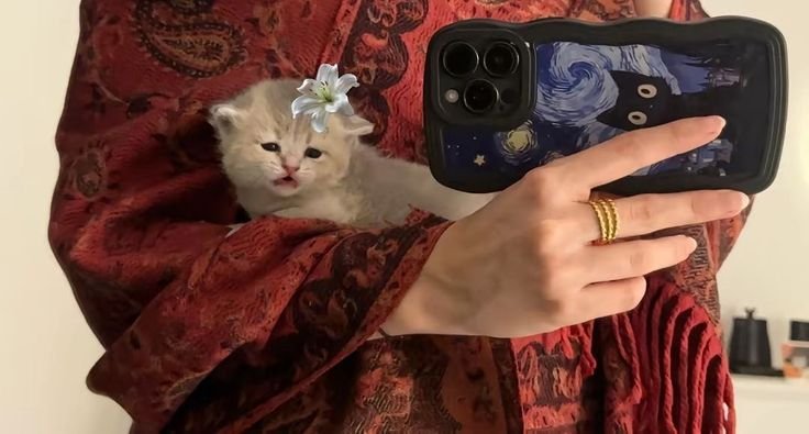 purhaya's tweet image. 