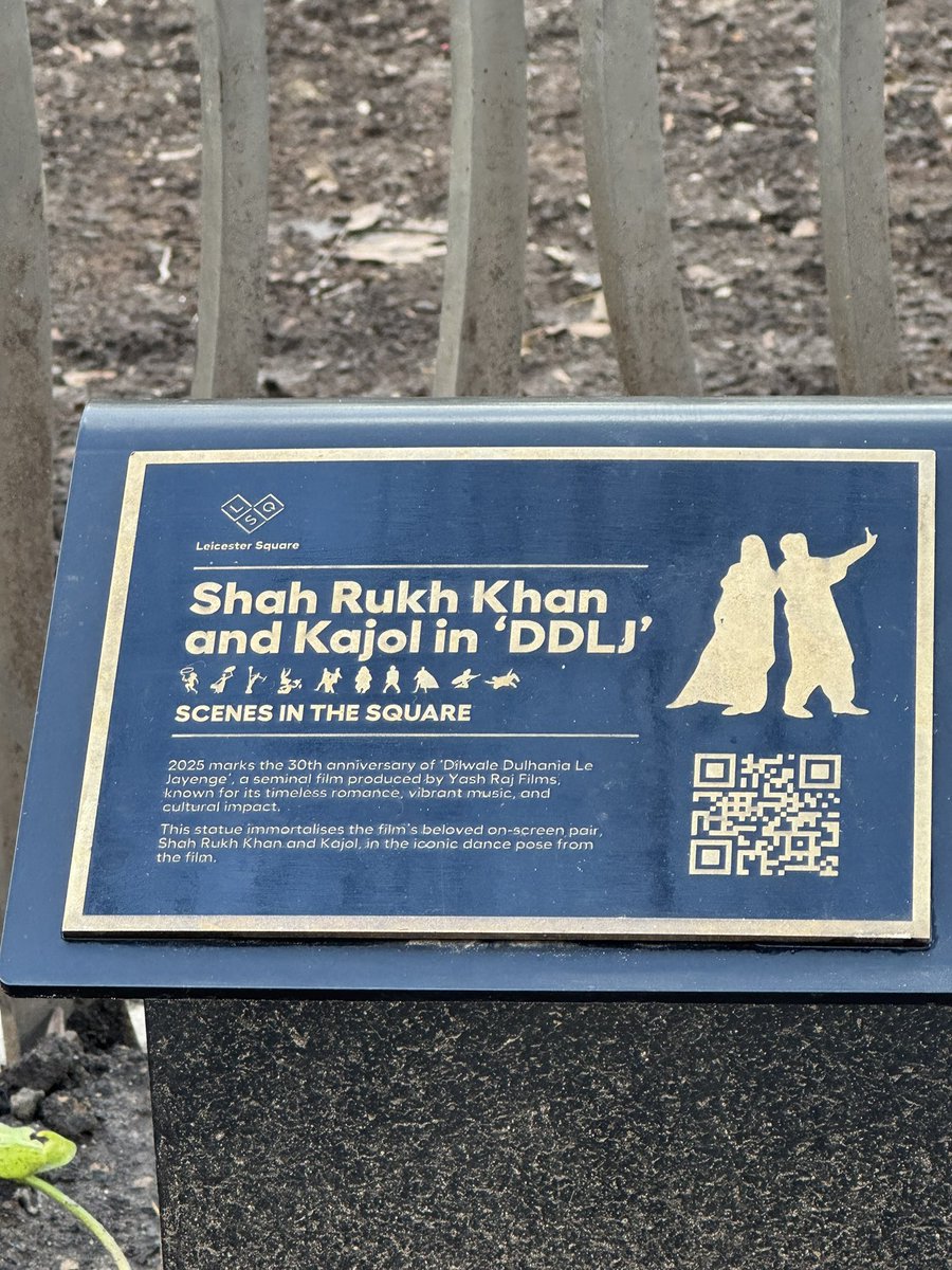 sbeve 🐢𓆉 tweet media