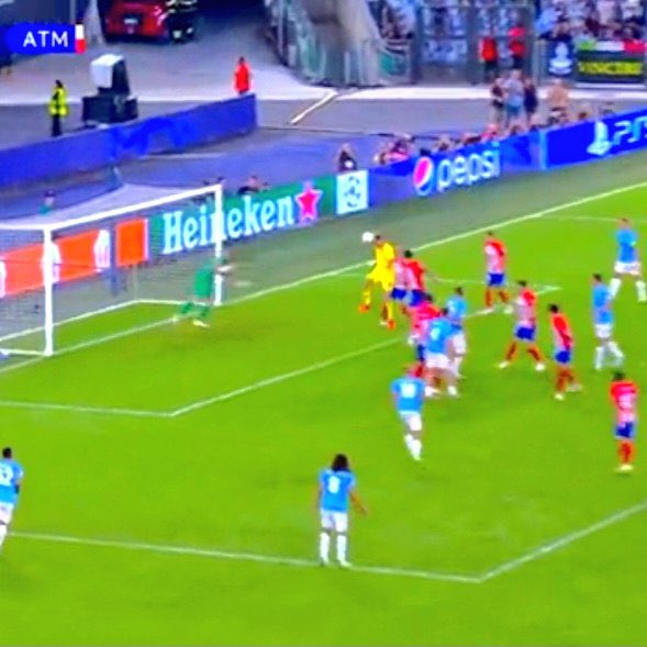 Fran Hato tweet media