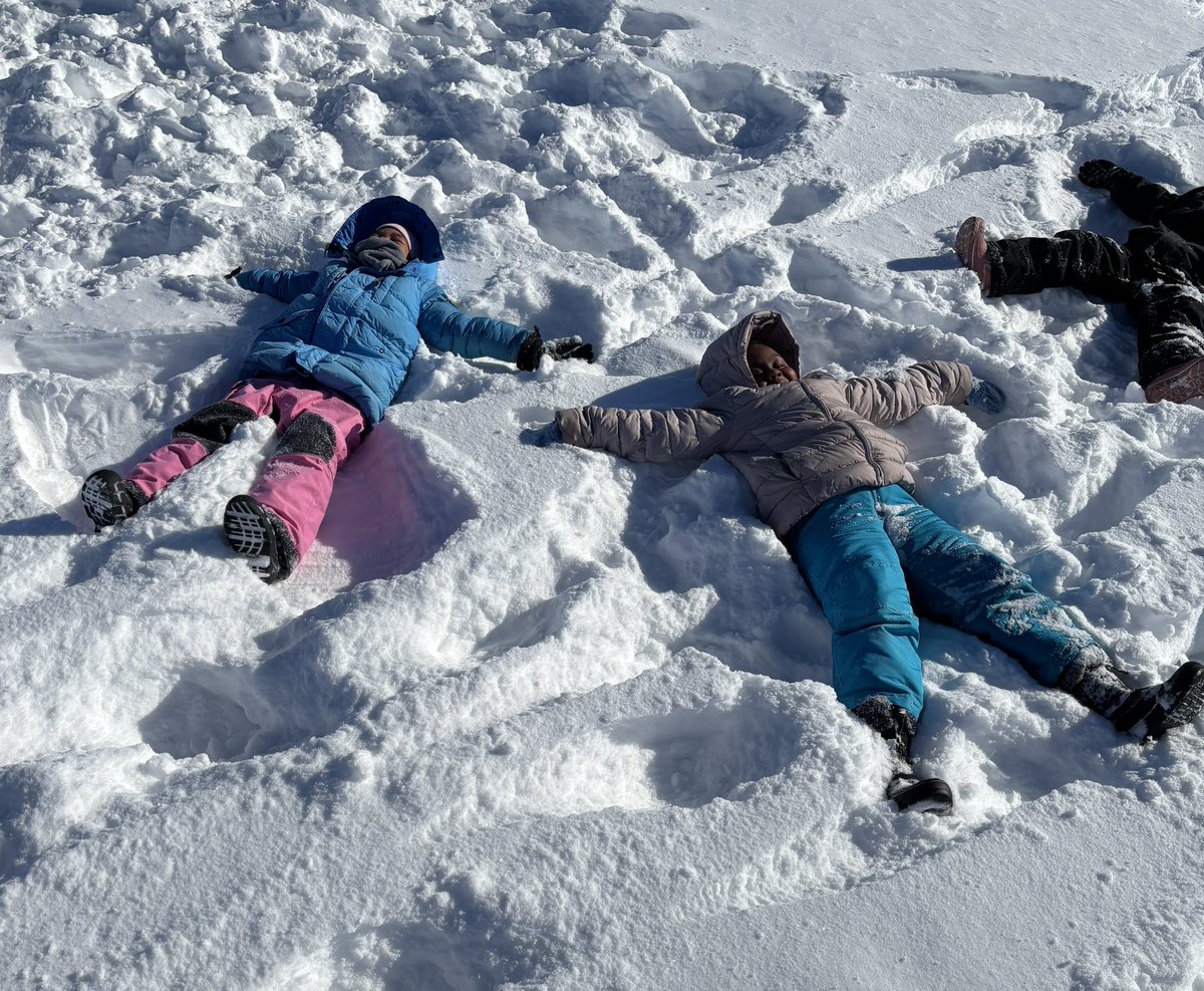 Mrs. Thornton 🌻 tweet media