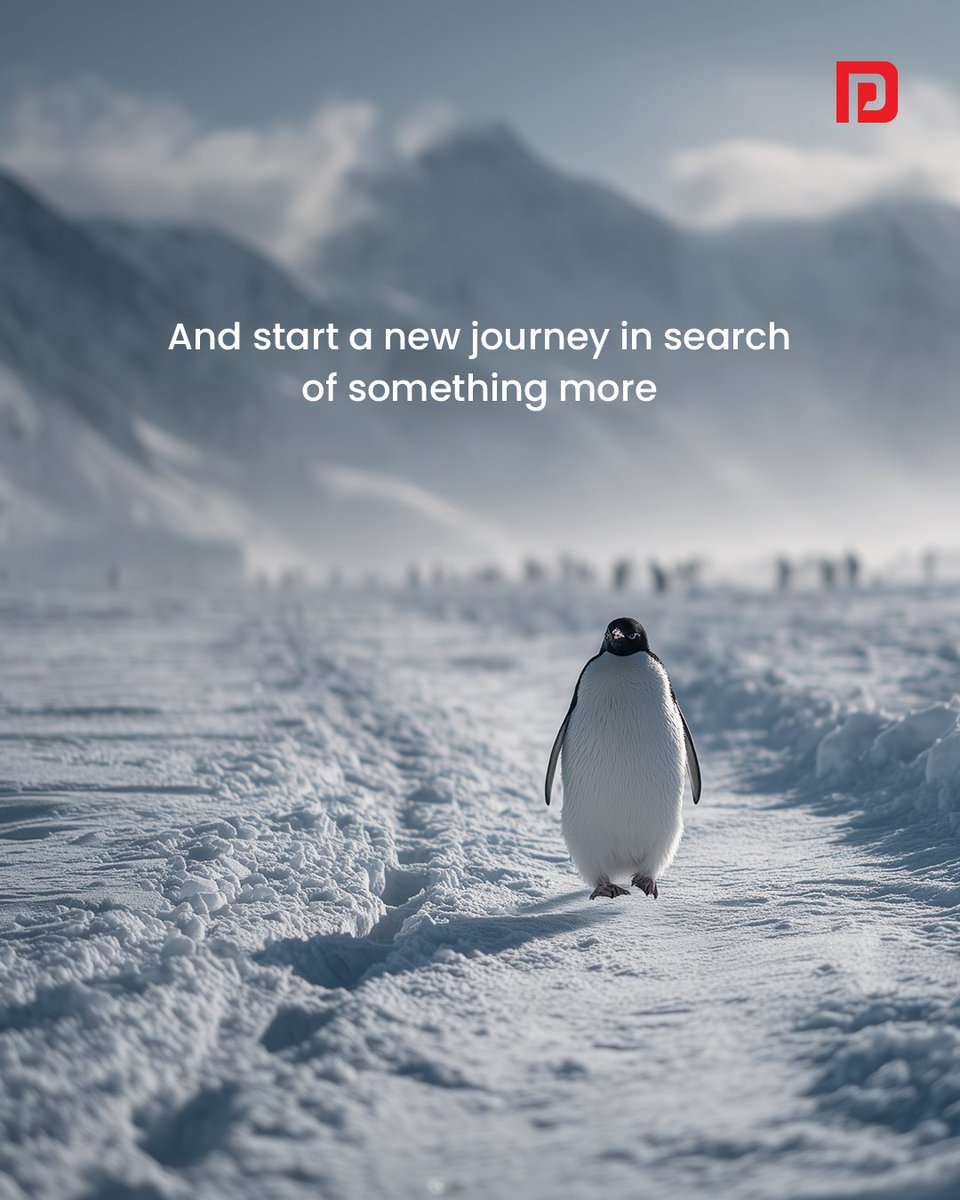 Portronics's tweet image. It took a penguin for us all to realise that we need to switch paths to discover a party we belong to! ❤️‍🩹🐧

#PenguinTrend #penguin