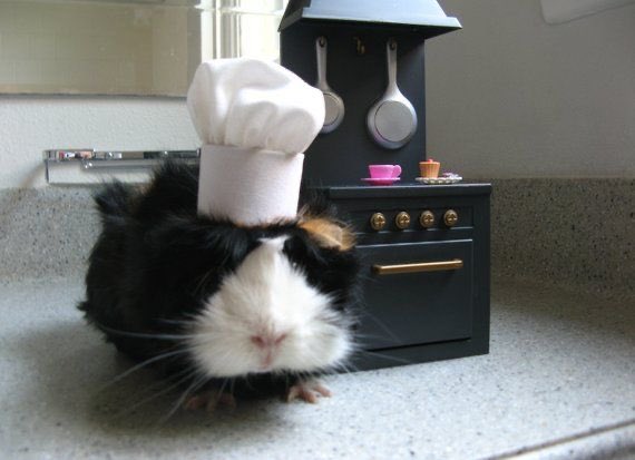 zizontwinkle tweet media