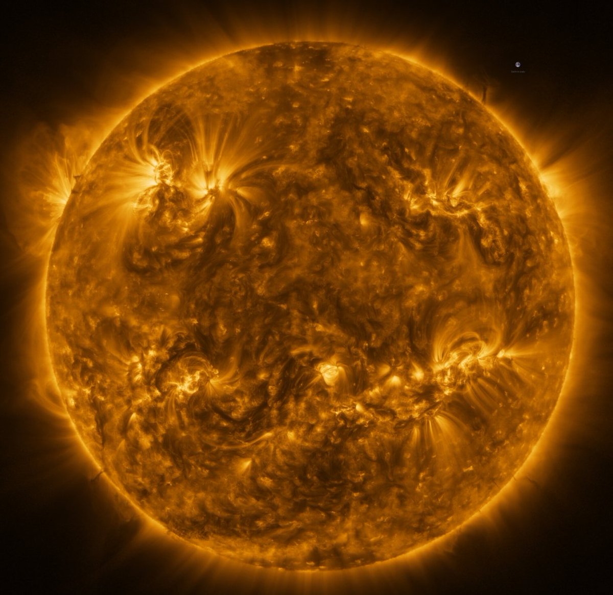 ExploreCosmos_'s tweet photo. The Sun does rotate on its axis, but it does not behave like a solid spinning sphere. Instead, because it is made of hot, ionized plasma, different parts of the Sun rotate at different speeds. 

This phenomenon, known as differential rotation, means that the equatorial regions complete a full rotation faster than the higher latitudes. 

When measured relative to distant stars, the Sun’s equator rotates once roughly every 25 days, while regions closer to the poles take significantly longer, often exceeding 30 days and in some cases approaching 35 days. 

In short, the Sun is a twisting, fluid mass. The apparent rotation period can also depend on how it is measured. 

From Earth, we observe a slightly longer rotation period because our planet is orbiting the Sun at the same time. This Earth-based, or synodic, rotation period is closer to 27 days. 

Early astronomers inferred this motion by tracking sunspots as they crossed the solar disk and reappeared after disappearing over the limb. In the 19th century, Richard Carrington carefully quantified this motion, and his work led to what is now known as the Carrington rotation period. 

More than a historical footnote, this reference frame is still used today by heliophysicists to label and track solar features over time.

Modern observations go far beyond surface tracking. Techniques such as Doppler measurements and helioseismology allow scientists to probe how rotation changes beneath the Sun’s visible surface, revealing that differential rotation extends deep into the convection zone, while the inner radiative zone rotates more uniformly. 

These internal rotation patterns are not just a curiosity; they play a central role in shaping the Sun’s magnetic field. Differential rotation stretches and twists magnetic field lines, powering the solar dynamo that drives sunspots, solar flares, and the roughly 11-year solar activity cycle. 

Understanding how fast the Sun rotates, and how that rotation varies with latitude and depth, is therefore essential to understanding why the Sun behaves the way it does, and how its activity affects the entire solar system.