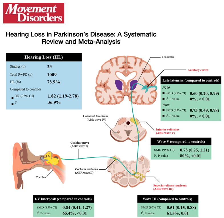 MichaelOkun's tweet photo. Hearing loss in Parkinson’s: the silent non motor symptom we keep missing. Spoiler alert: hearing loss is twice as common in Parkinson's. What does non-motor mean? Non-motor refers to symptoms not related to movement, such as thinking, mood, sleep, smell and hearing. Firouzabadi and colleagues describe in a new paper in Movement Disorders how hearing loss is common in Parkinson’s disease and involves both the ear and the brain.
Key points:
- Hearing loss was present in nearly 3/4 of folks w/ Parkinson’s disease and was more frequent at high sound frequencies.
- Folks w/ Parkinson’s disease were about twice as likely to have hearing loss compared to age matched controls.
- Changes were seen not only in the ear, but also in brain pathways involved in sound processing and attention.
My take: Hearing loss in Parkinson’s is not just about aging. It appears to be part of the disease biology and may show up early. If we miss it, we may be adding unnecessary cognitive load, isolation and stress for folks living w/ Parkinson’s. Hearing aids are essential to reduce dementia risk.
Here are 5 points that resonated w/ me:
1- Hearing loss is a common non-motor feature of Parkinson’s disease and not just an age related issue.
2- High frequency hearing seems especially vulnerable and can affect understanding speech in real world settings.
3- Brain based sound processing changes suggest hearing loss may link to thinking and attention changes.
4- Recommendations for routine hearing screening should be part of comprehensive Parkinson’s care by health care providers.
5- Addressing hearing loss may reduce dementia risk, improve communication, reduce isolation and support brain health for folks living w/ Parkinson’s.
https://t.co/ydVYKwCS2W #parkinson @ParkinsonDotOrg @FixelInstitute @ChimeFor