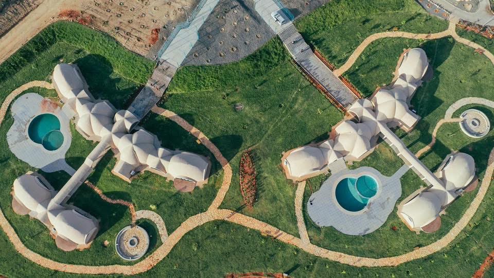 Tefera Derbew Yimam tweet media